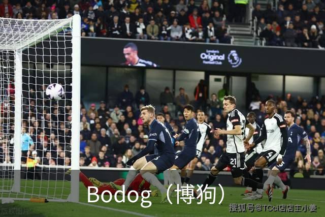 Bodog（博狗）公司简介图片